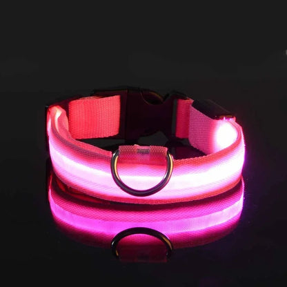 Collier LED pour chien – Assurez la sécurité de votre compagnon
