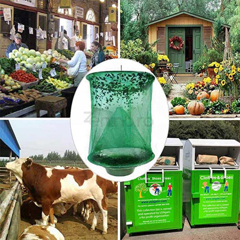 Piège à Insectes Extérieur – Protégez votre jardin sans produits chimiques