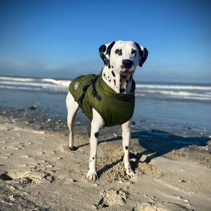 Manteau Hiver NordPaws – Protège ton chien avec style