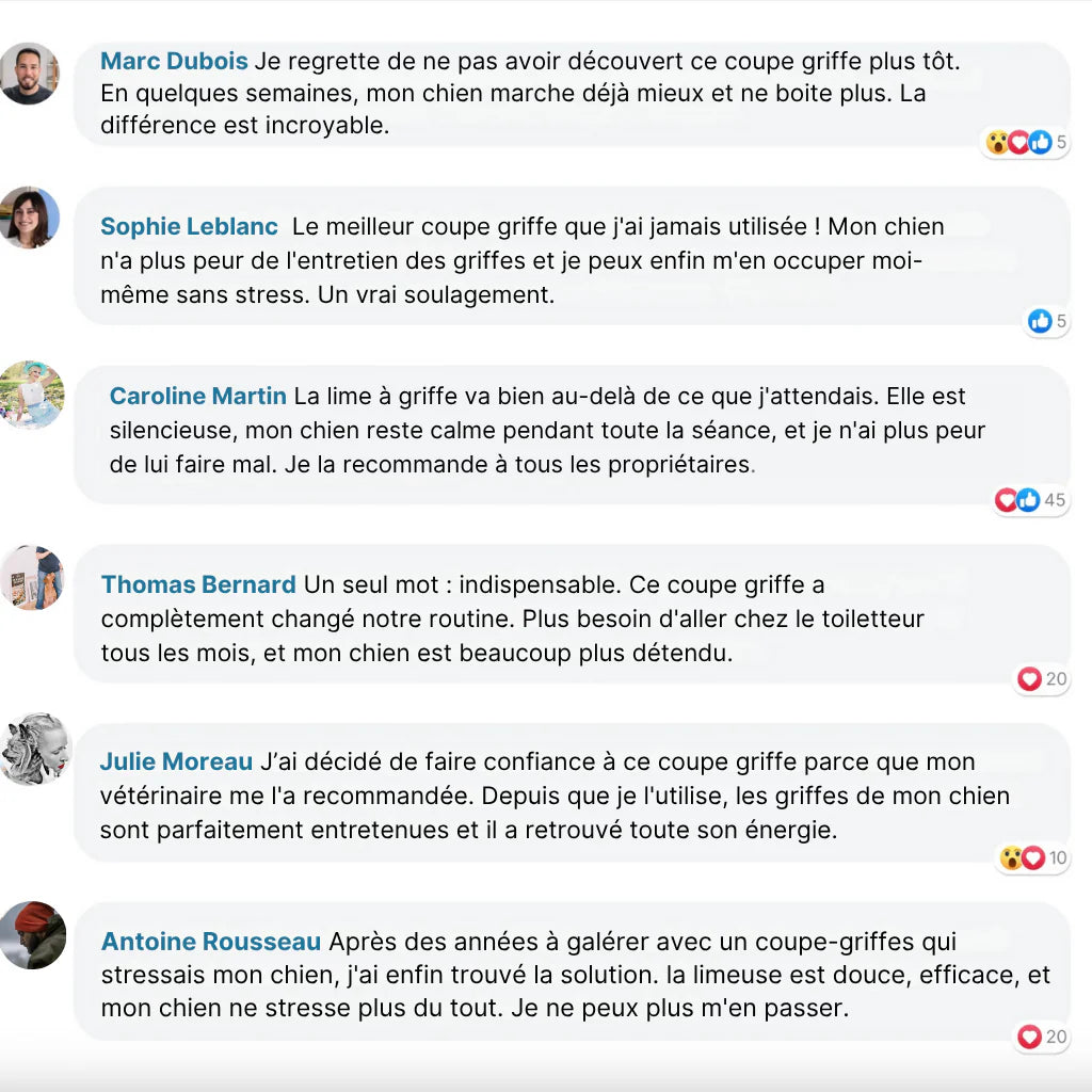 PetCare 2-en-1 – Taillez & limez les griffes sans stress