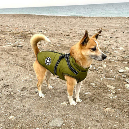 Manteau Hiver NordPaws – Protège ton chien avec style